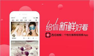 头条视频怎么拍照好看点,轻松拍出高颜值照片