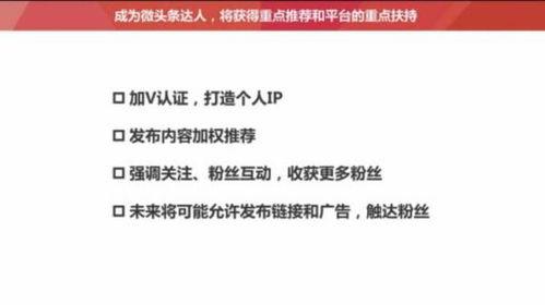 推荐头条的文章,探寻热点背后的故事与真相